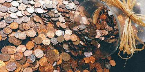 pexels-pixabay-259165